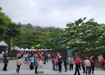 ▲2023雲林客家桐花祭今熱鬧開幕，吸引大批人潮參與，現場熱鬧滾滾。(圖/雲林縣政府提供)