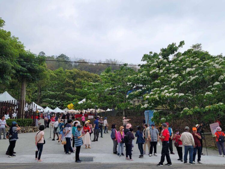 ▲2023雲林客家桐花祭今熱鬧開幕，吸引大批人潮參與，現場熱鬧滾滾。(圖/雲林縣政府提供)
