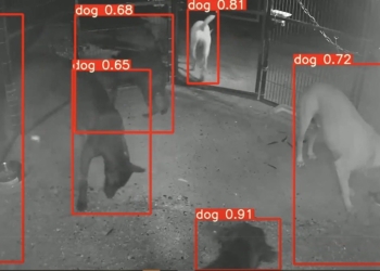 ▲嘉義縣導入AI智慧捕犬系統，在義竹鄉光電熱區試辦一周，捕捉到八成以上流浪犬。(圖/嘉義縣政府提供)