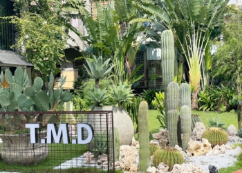 ▲嘉義市近年陸續出現許多特色特約店家，迅速提升整體嘉義市旅遊風潮。(圖/嘉義市政府提供)