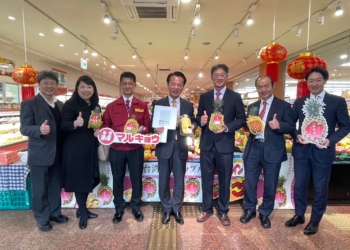 ▲嘉義「蜜甘味」鳳梨進軍日本九州市場。（圖/嘉義縣政府提供）