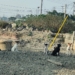 ▲嘉義縣海區流蕩犬引發追車咬人、環境衛生等問題。（圖/嘉義縣政府提供）
