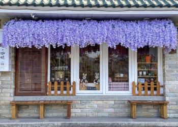 ▲「茶壺咖啡語茶莊園」永不凋謝的粉紫花串從屋簷洩下，浪漫氛圍拉滿。（圖/嘉義縣政府提供）