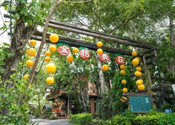▲金桔觀光工廠準備金桔禮盒，提供完成指定任務的旅客。（圖/嘉義縣政府提供）