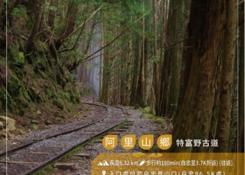 ▲特富野古道雲霧繚繞，宛如夢幻森林，深受親子旅客喜愛。(圖/嘉義縣政府提供)