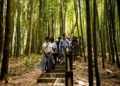 ▲2023草嶺石壁森林療癒祭再創佳績，草嶺觀光遊憩人次不斷攀升。(圖/雲林縣政府提供)