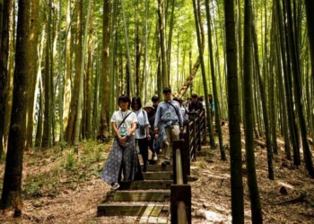 ▲2023草嶺石壁森林療癒祭再創佳績，草嶺觀光遊憩人次不斷攀升。(圖/雲林縣政府提供)