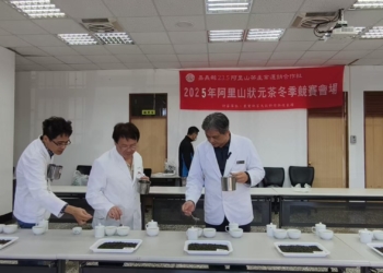 ▲頭等獎茶品外觀勻整、香氣清雅,呈現阿里山冬茶甘甜細緻風味。(圖/嘉義縣政府提供)