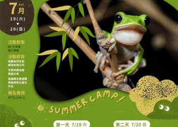 ▲嘉義市立博物館舉辦《來嘉找蛙生態營》，歡迎國小學童踴躍報名 。(圖/嘉義市政府提供)