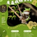 ▲嘉義市立博物館舉辦《來嘉找蛙生態營》，歡迎國小學童踴躍報名 。(圖/嘉義市政府提供)