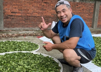 ▲阿里山鄉陳家興奪下清香型球形烏龍茶製茶全國冠軍。（圖/嘉義縣政府提供）