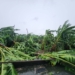 ▲凱米颱風挾帶強風豪雨，造成嘉義市農業天然災害損害情形嚴重。(圖/嘉義市政府提供)