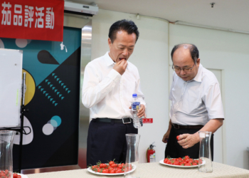 ▲縣長翁章梁及農糧署副署長姚志旺到場試吃，並參與小果番茄評鑑投票。（圖/嘉義縣政府提供）