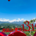 ▲梅山瑞峰1314觀景台不只有迷人的茶園風光，數字諧音更代表一生一世。(圖/嘉義縣政府提供)