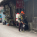 ▲國家衛生研究院監測發現埃及斑蚊於雲林縣北港鎮繁衍，縣府全面清消預防登革熱。（圖/雲林縣政府提供）