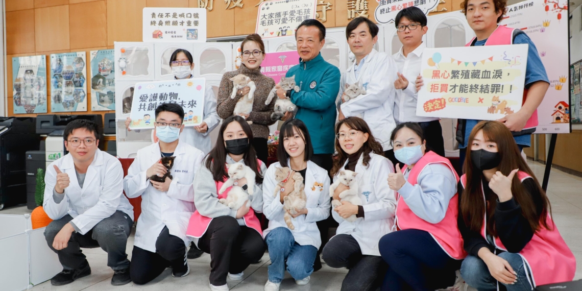 ▲「喵星人命定配對」結果揭曉，0.65的中籤率抽出29位「鏟屎官」。（圖/嘉義縣政府提供）