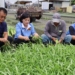 ▲山陀兒颱風來襲 張麗善縣長巡視葉菜類搶收情形。(圖/雲林縣政府提供)