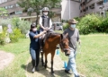 ▲嘉義市政府首創以馬術活動，培養長輩們鍛鍊肌力。(圖/嘉義市政府提供)