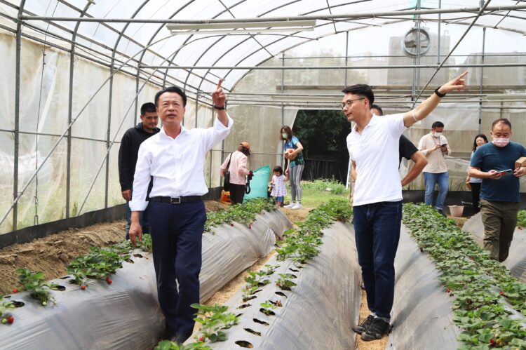 ▲科技改變經營！智慧農業導入中埔幸福有機草莓農場。(圖/嘉義縣政府提供)
