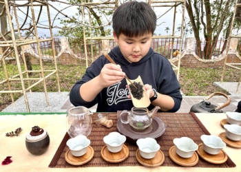 ▲縣府與瑞里國小合作推出小手泡好茶活動。（圖/嘉義縣政府提供）