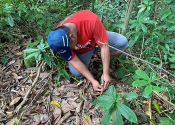 ▲新美部落學習製作獵人陷阱。（圖/嘉義縣政府提供）