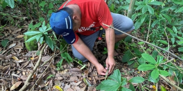 ▲新美部落學習製作獵人陷阱。（圖/嘉義縣政府提供）