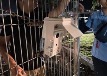 ▲嘉義縣家畜疾病防治所與雲科大攜手合作，首創全國地空AI智能精準捕浪犬。（圖/嘉義縣政府提供）