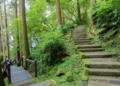 ▲此次健行路線規劃在風景秀麗的「石棹步道群」。（圖/嘉義縣政府提供）