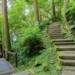 ▲此次健行路線規劃在風景秀麗的「石棹步道群」。（圖/嘉義縣政府提供）