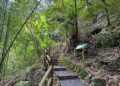 ▲豐山村石盤谷步道沿途布滿竹林，風景絕美。（圖/嘉義縣政府提供）