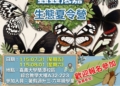 ▲「蟲蟲抵嘉~昆蟲生態營」將於7月31日及8月1日，在國立嘉義大學蘭潭校區登場。(圖/嘉義市政府提供)