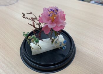 ▲來自宮廷的手工藝—蓪草紙花。(圖/嘉義市政府提供)