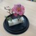 ▲來自宮廷的手工藝—蓪草紙花。(圖/嘉義市政府提供)