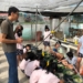 ▲官易祺老師在校園內設置科技環保溫室，引導學生透過採收建立自信。（圖／嘉義縣政府提供）