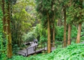 ▲奮起湖步道群。（圖/嘉義縣政府提供）
