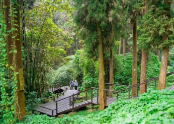 ▲奮起湖步道群。（圖/嘉義縣政府提供）