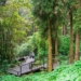 ▲奮起湖步道群。（圖/嘉義縣政府提供）