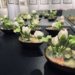 ▲南陽國小美術班畢業成果展-大童小藝」6/8~6/19北港文化中心展出 歡迎民眾前往觀賞。(圖/雲林縣政府提供)