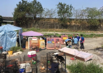 ▲林內一處大量不當飼養犬貓 雲林縣政府介入查處。(圖/雲林縣政府提供)