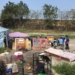 ▲林內一處大量不當飼養犬貓 雲林縣政府介入查處。(圖/雲林縣政府提供)