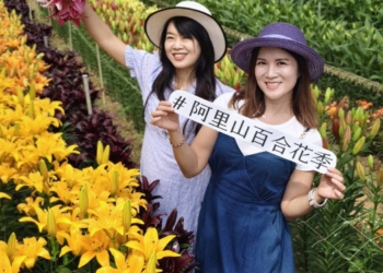 ▲歡迎遊客前來打卡，沉浸式感受百合花之美。（圖/嘉義縣政府提供）