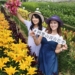 ▲歡迎遊客前來打卡，沉浸式感受百合花之美。（圖/嘉義縣政府提供）