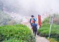 ▲二尖山步道。(圖/嘉義縣政府提供)