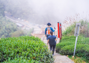 ▲二尖山步道。(圖/嘉義縣政府提供)