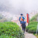 ▲二尖山步道。(圖/嘉義縣政府提供)