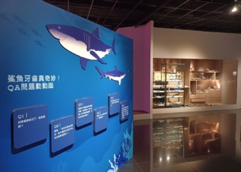 ▲嘉博館二樓的常設展區“自然生態區”，以“眾鯊雲集”為主題展出珍貴的鯊魚牙齒化石。(圖/嘉義市政府提供)