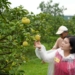 ▲縣長張麗善前往文旦園，關心防颱準備。(圖/雲林縣政府提供)