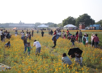 ▲遍地盛開的花況吸引許多遊客到訪。(圖/嘉義市政府提供)