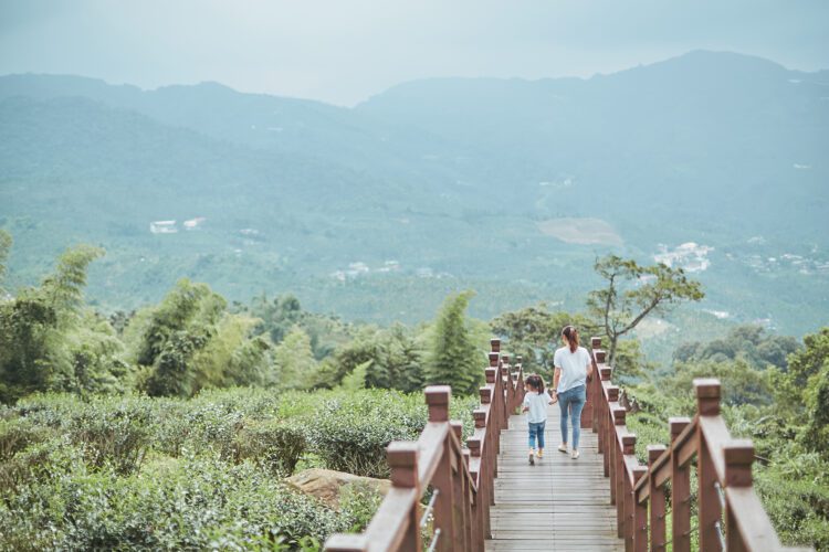 ▲可以讓親子共同漫步茶園的太興岩步道。(圖/嘉義縣政府提供)