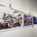 ▲南陽國小美術班第六屆畢業成果展 今日熱鬧開幕。(圖/雲林縣政府提供)